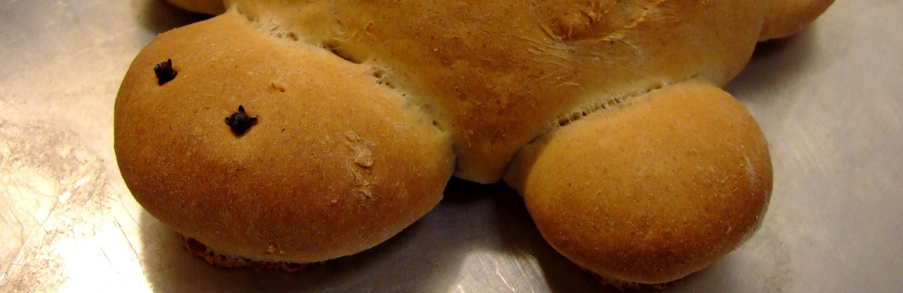 Turtle bread